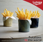 LUTOSA Orange Pack Shoestring 7/7mm - Image 2