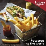 LUTOSA Classic Cut French Fries 10/10 mm – 3/8” 2 kg - Image 2